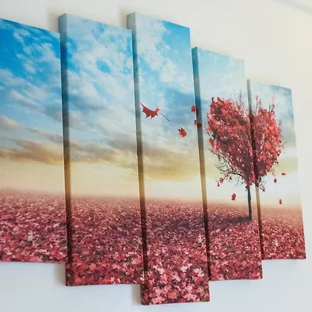 Oda ve Kahvaltı Ca Di Ro